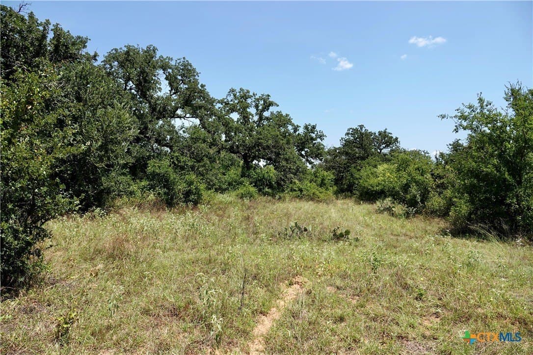 71 acres in San Saba County - photo 35
