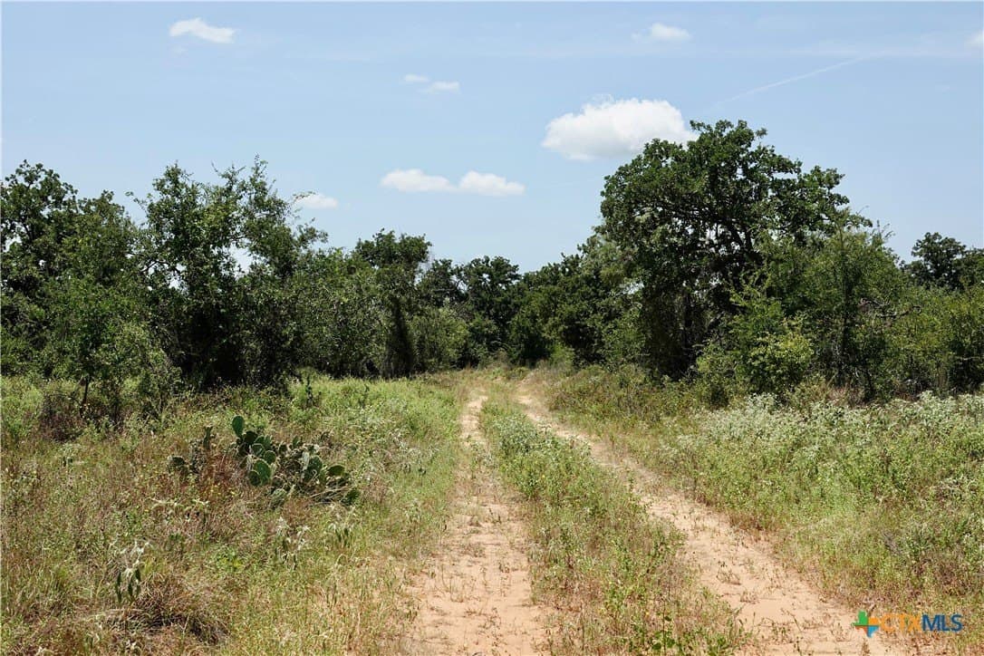 71 acres in San Saba County - photo 33