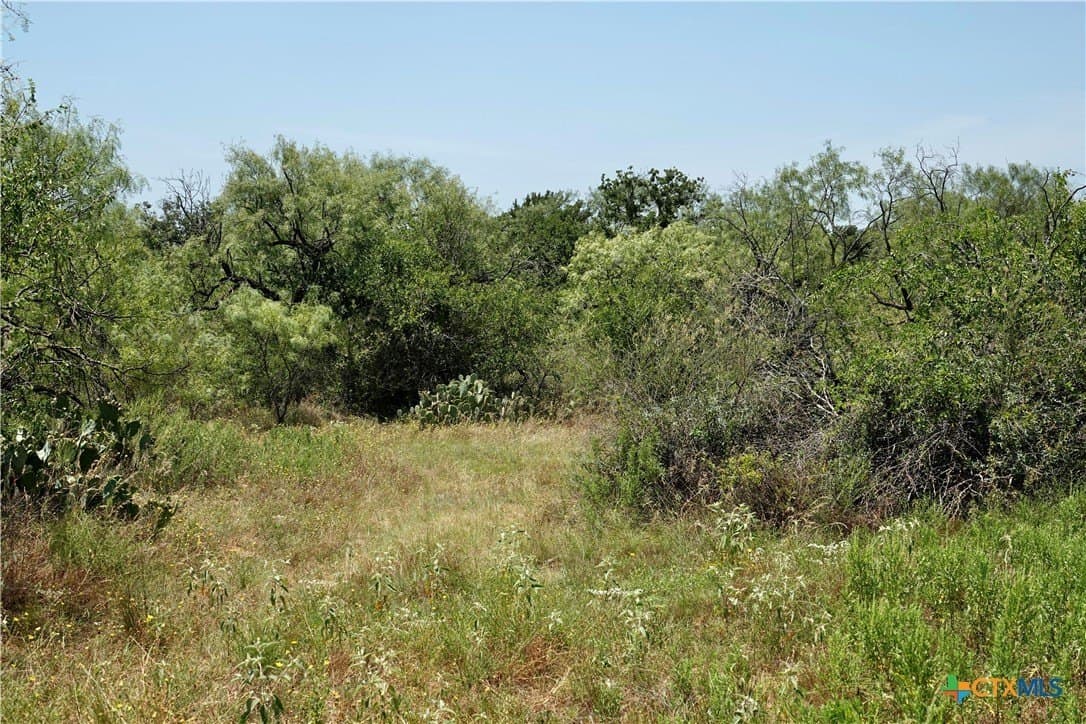 71 acres in San Saba County - photo 24