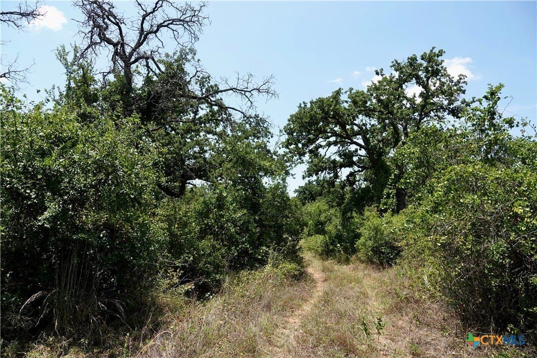 71 acres in San Saba County - photo 36