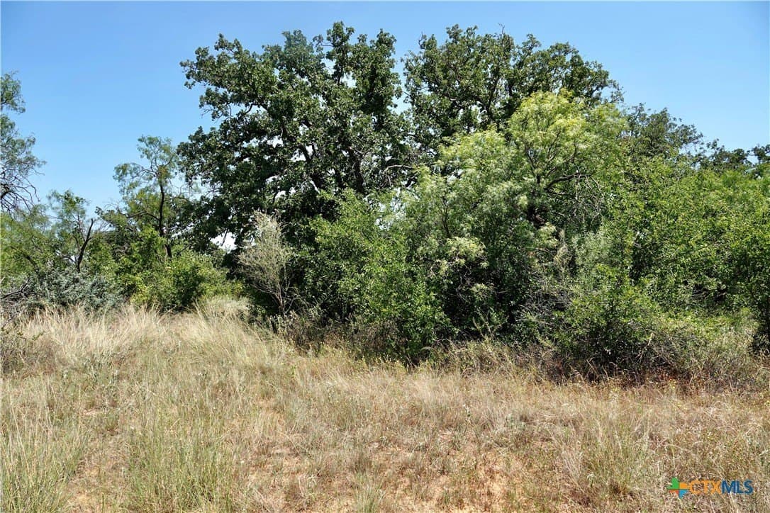 71 acres in San Saba County - photo 20