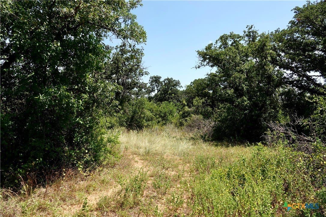 71 acres in San Saba County - photo 19
