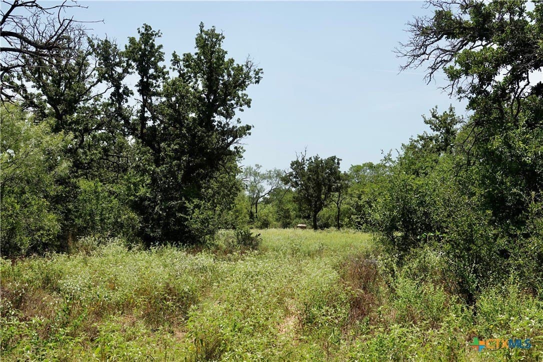 71 acres in San Saba County - photo 16