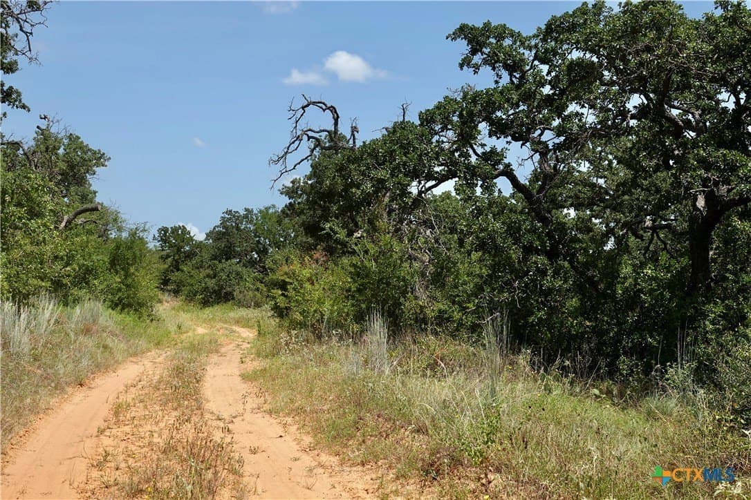 71 acres in San Saba County - photo 31