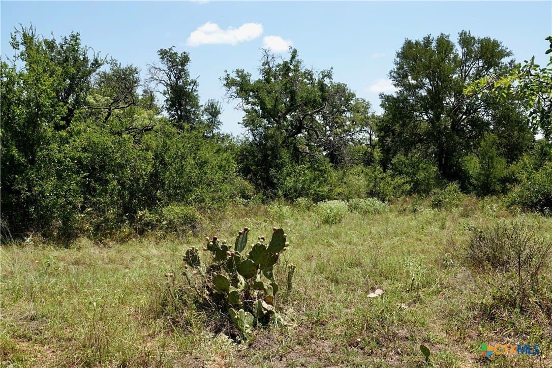 71 acres in San Saba County - photo 34