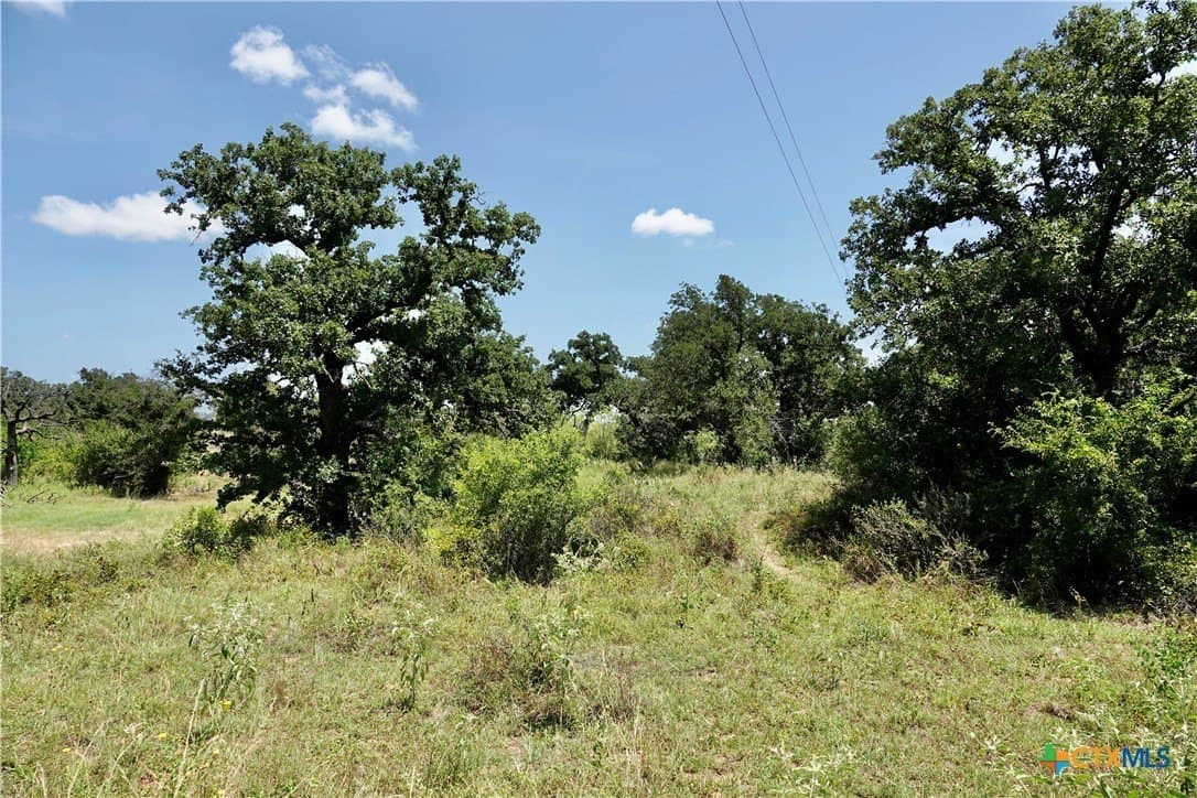 71 acres in San Saba County - photo 29