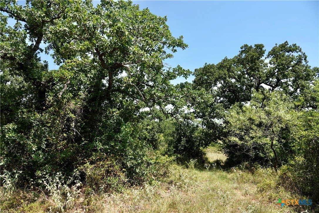 71 acres in San Saba County - photo 18