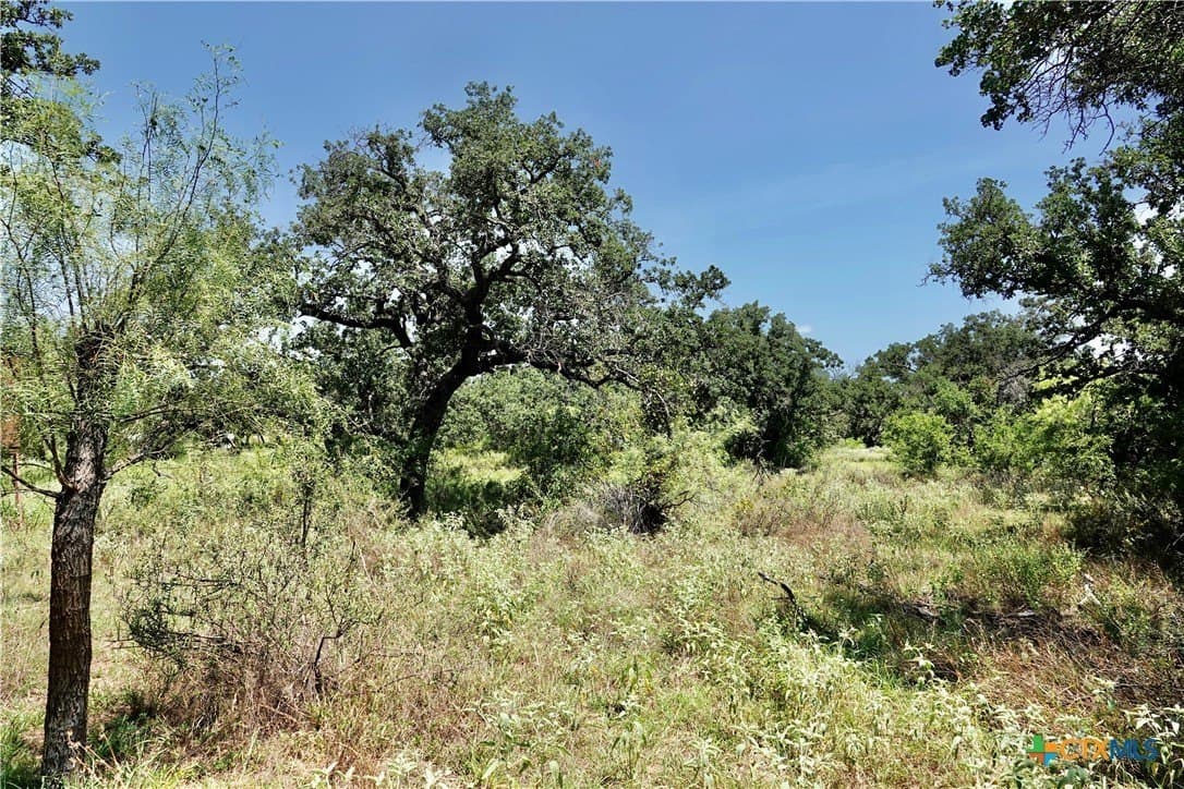 71 acres in San Saba County - photo 12