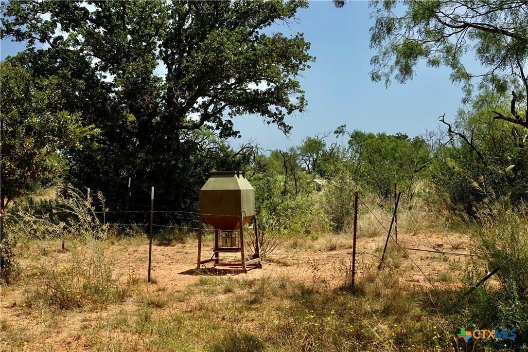 71 acres in San Saba County - photo 15