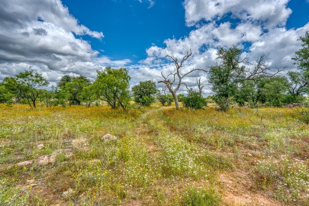 20.16 acres in Llano County - photo 39