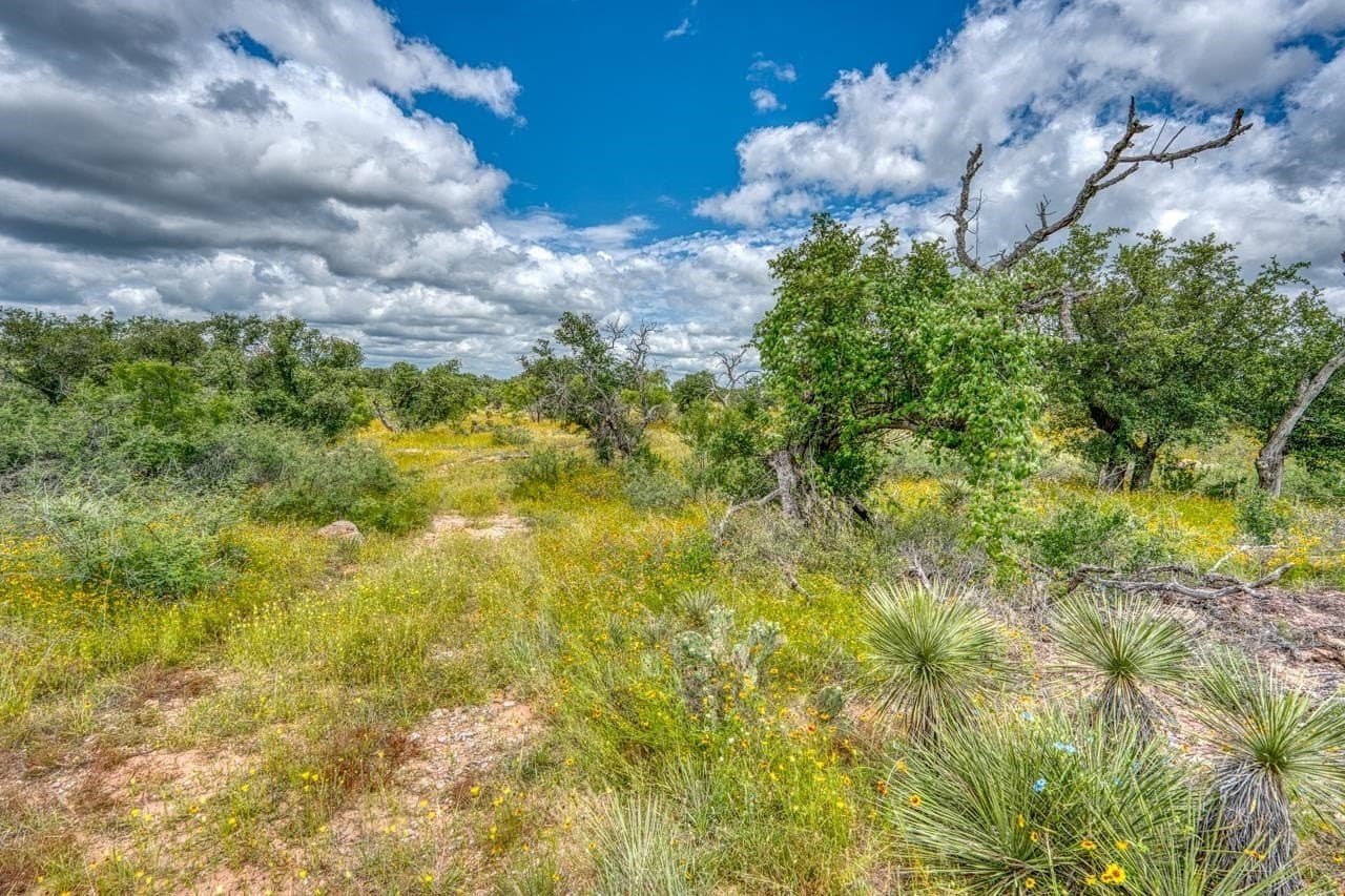 20.16 acres in Llano County - photo 36
