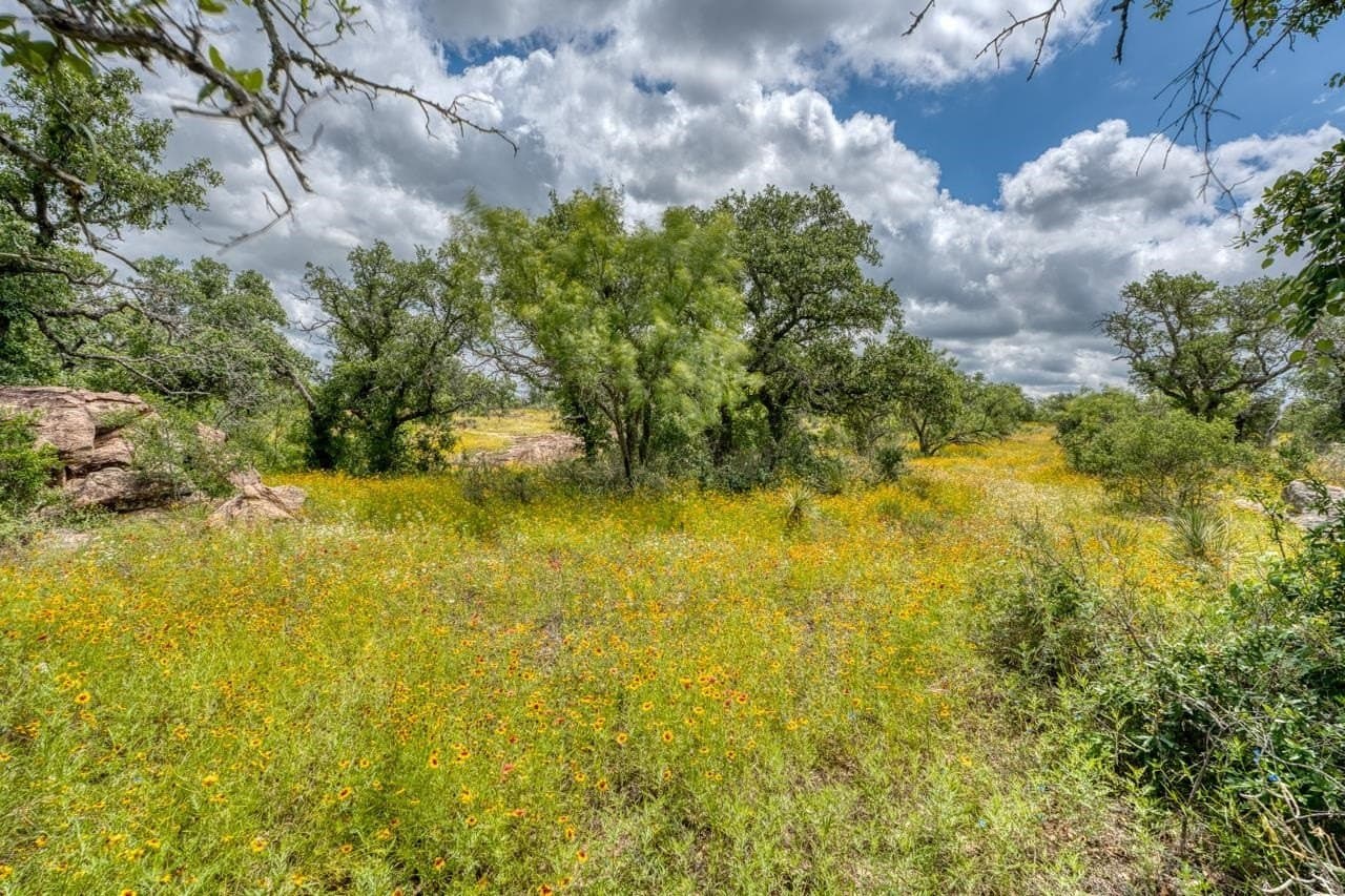 20.16 acres in Llano County - photo 29