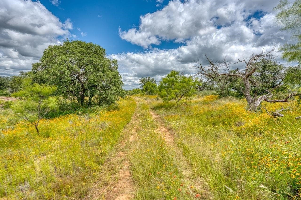 20.16 acres in Llano County - photo 34