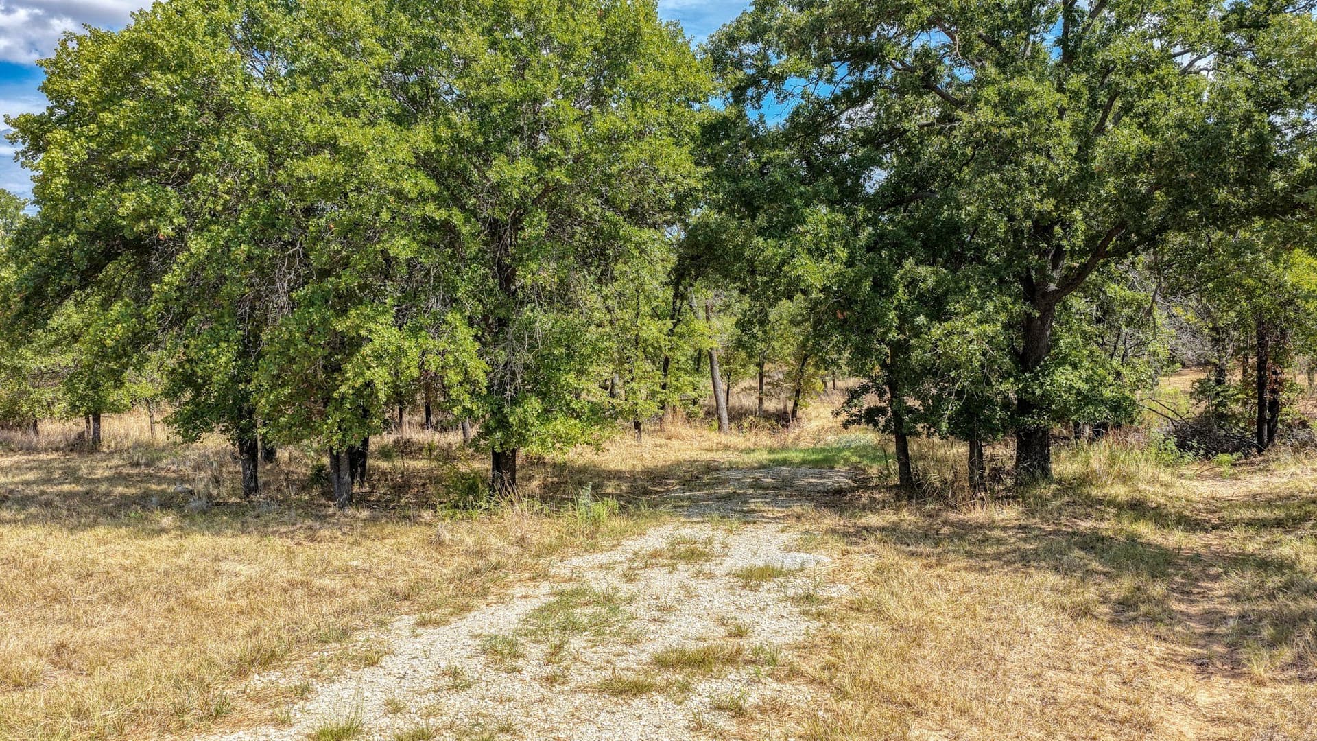 5.01 acres in Parker County - photo 14