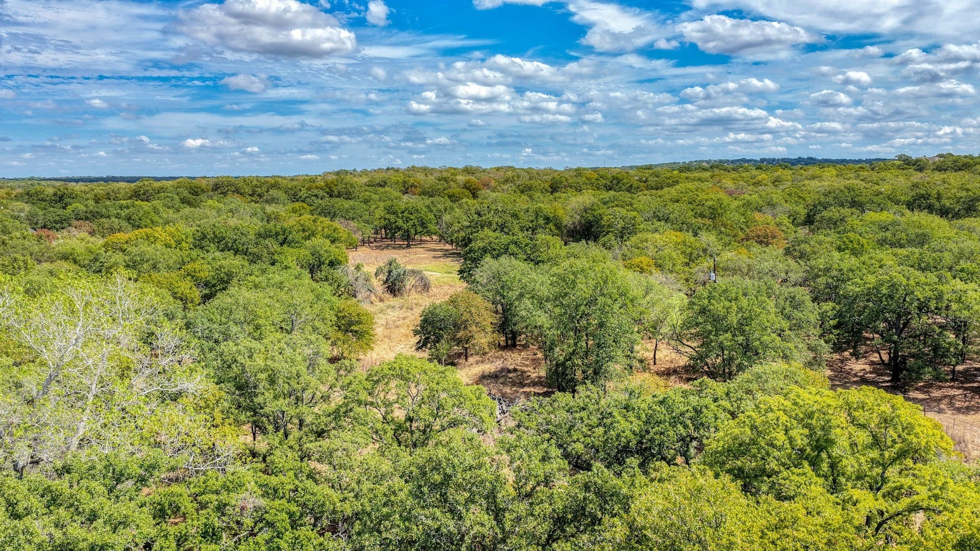5.01 acres in Parker County - photo 25