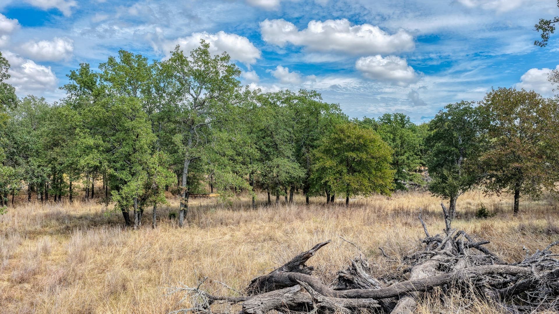 5.01 acres in Parker County - photo 20