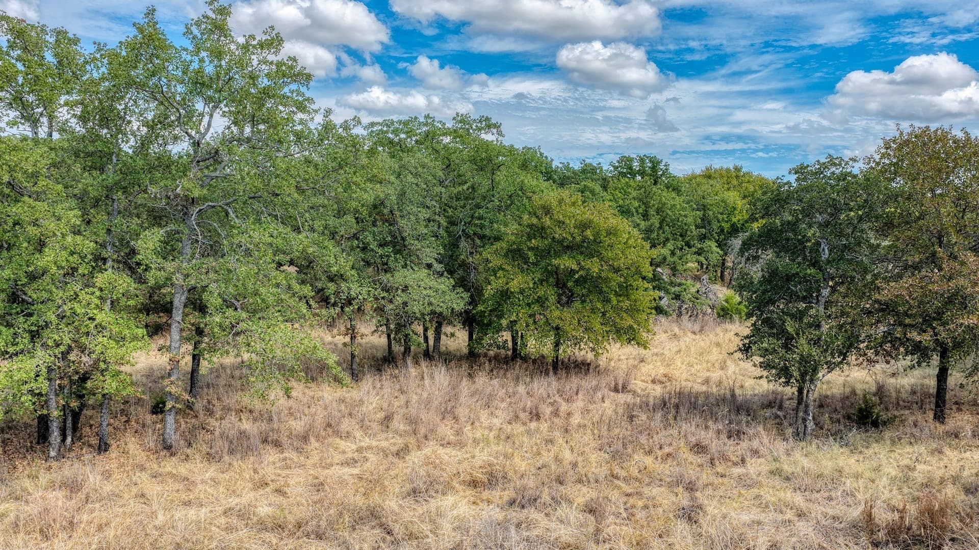 5.01 acres in Parker County - photo 21