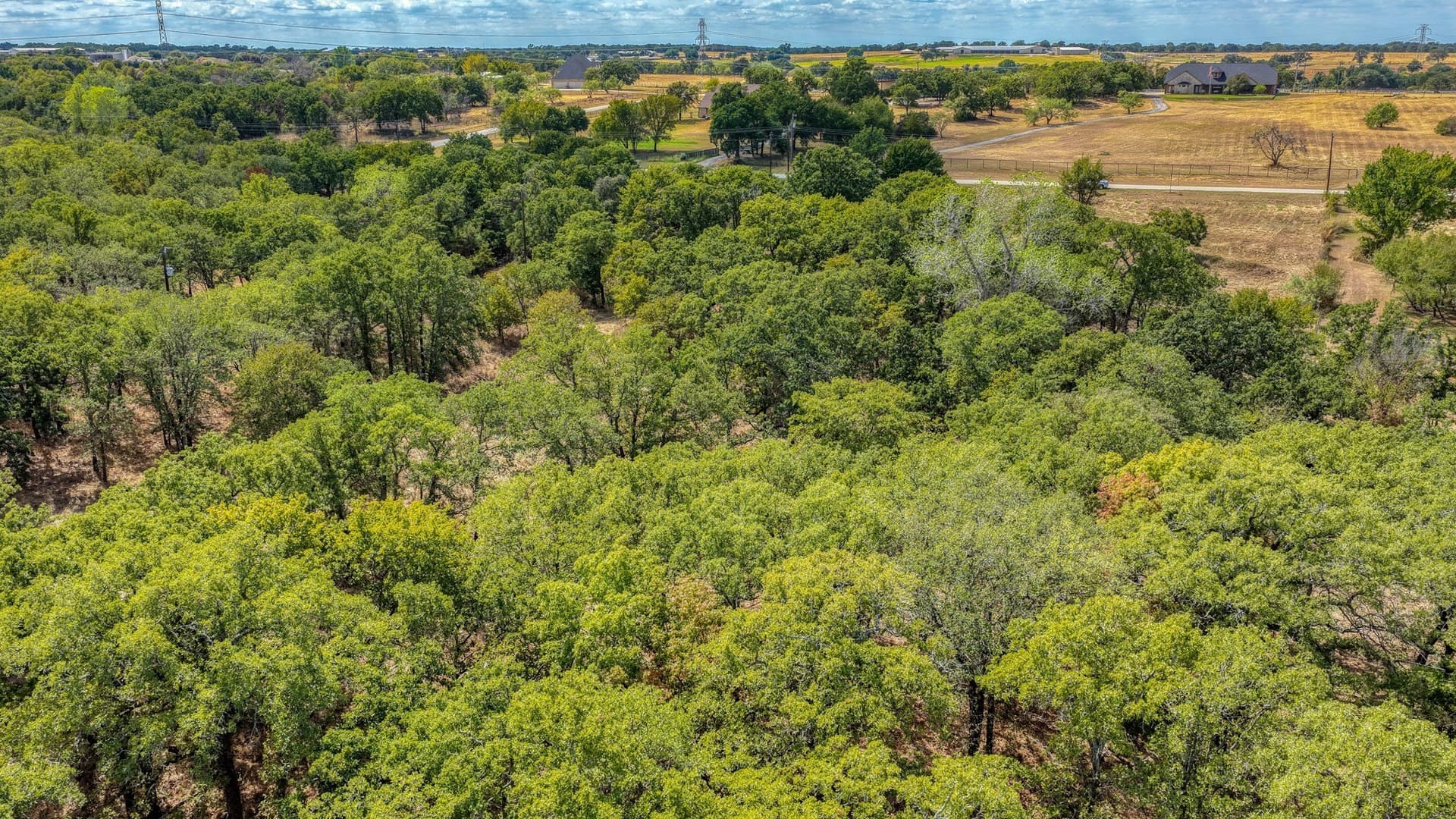 5.01 acres in Parker County - photo 9