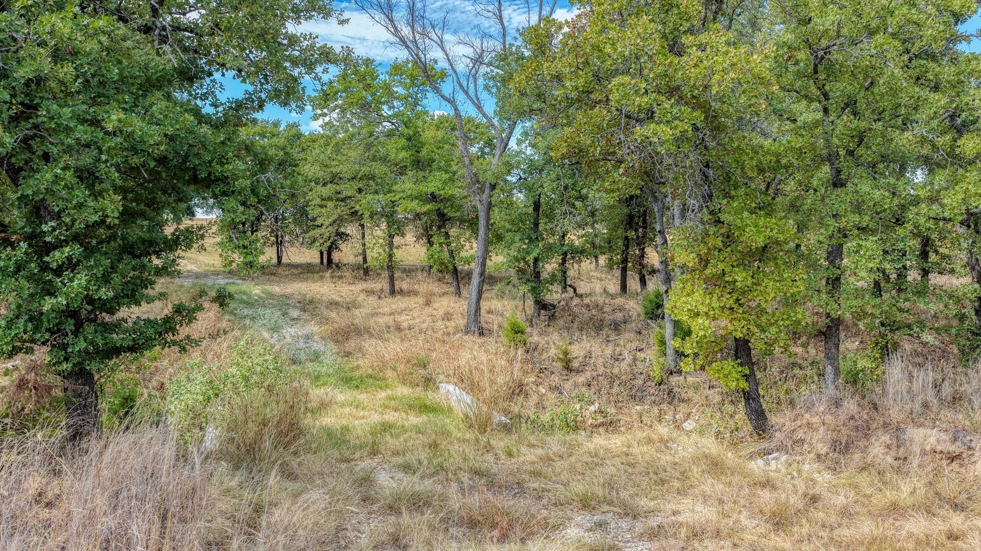 5.01 acres in Parker County - photo 17