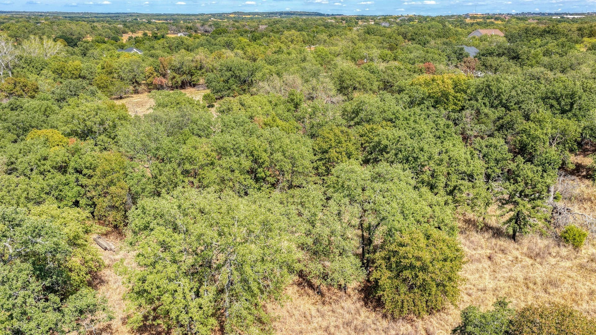 5.01 acres in Parker County - photo 11