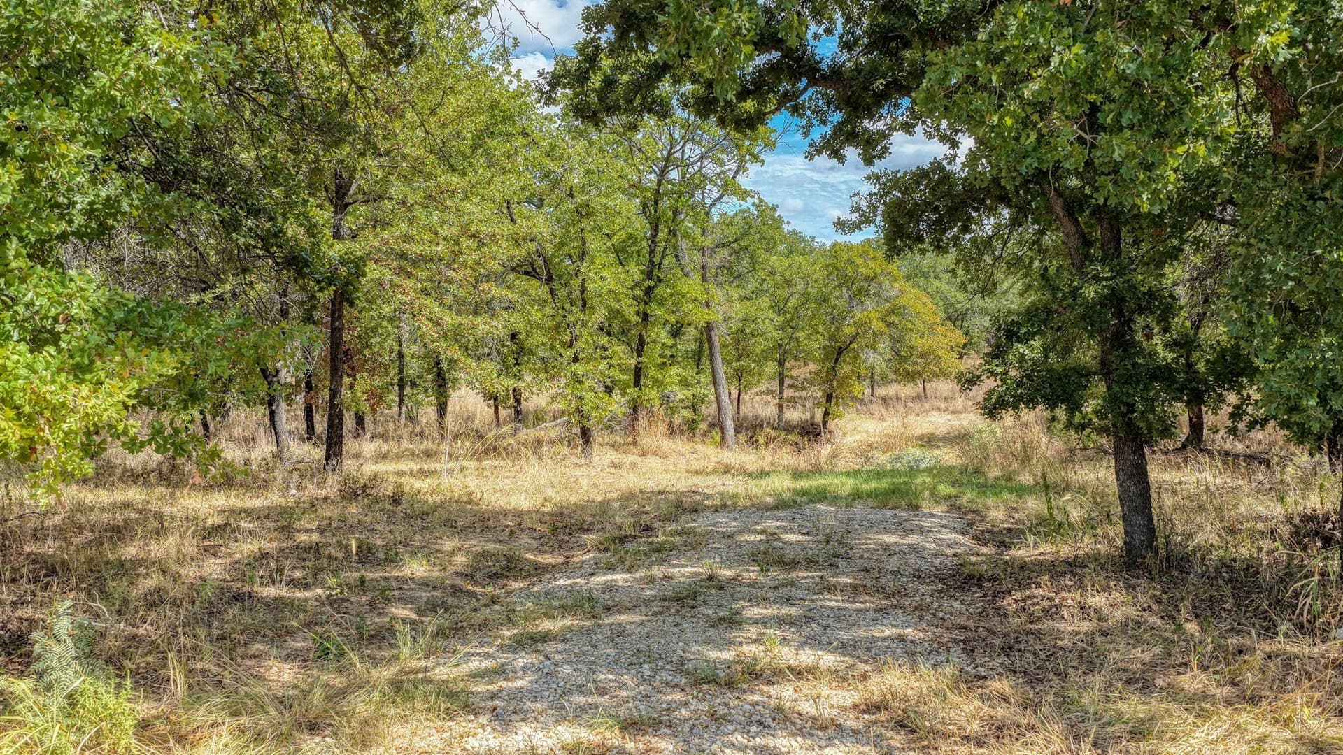 5.01 acres in Parker County - photo 15