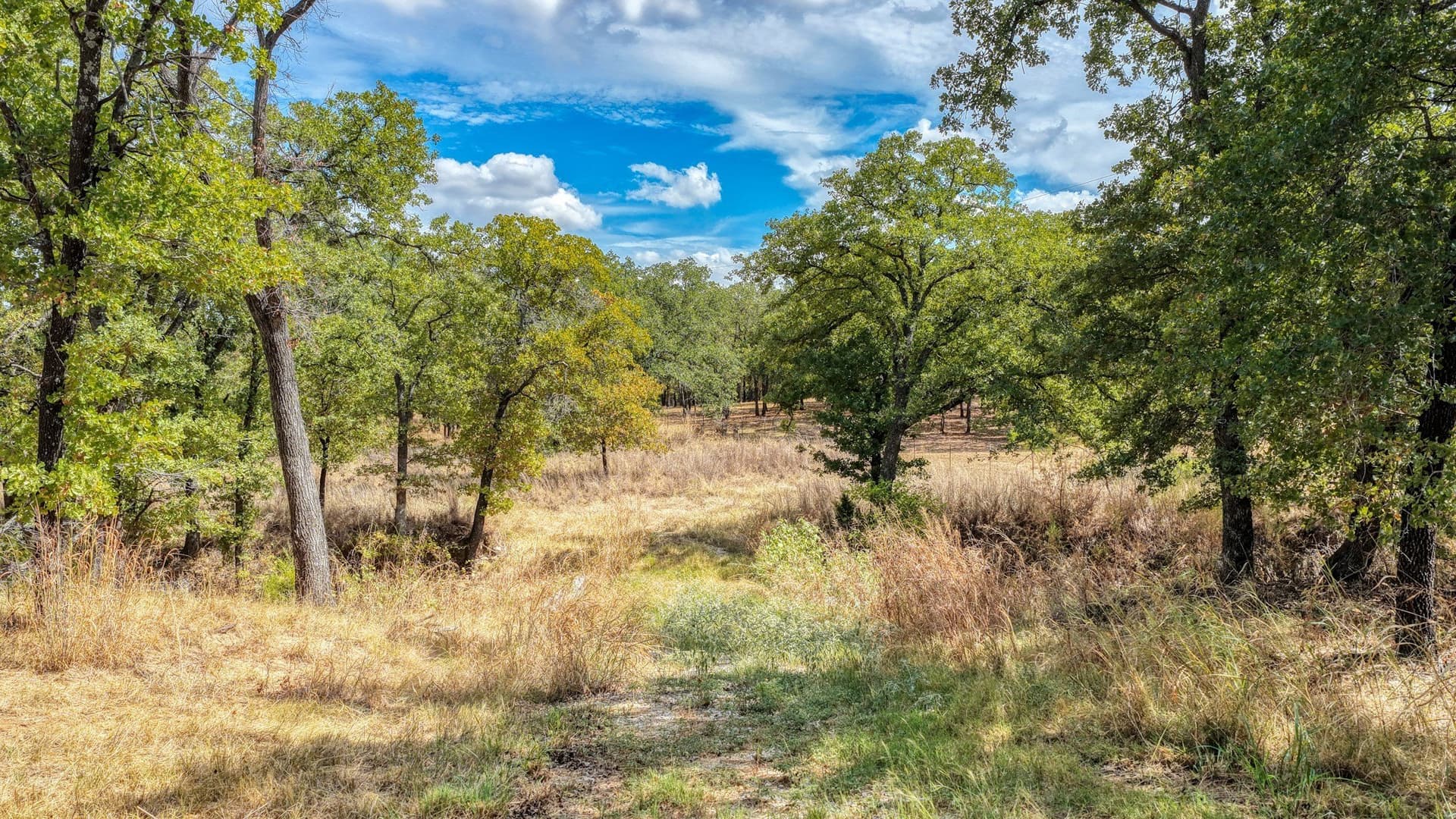 5.01 acres in Parker County - photo 16