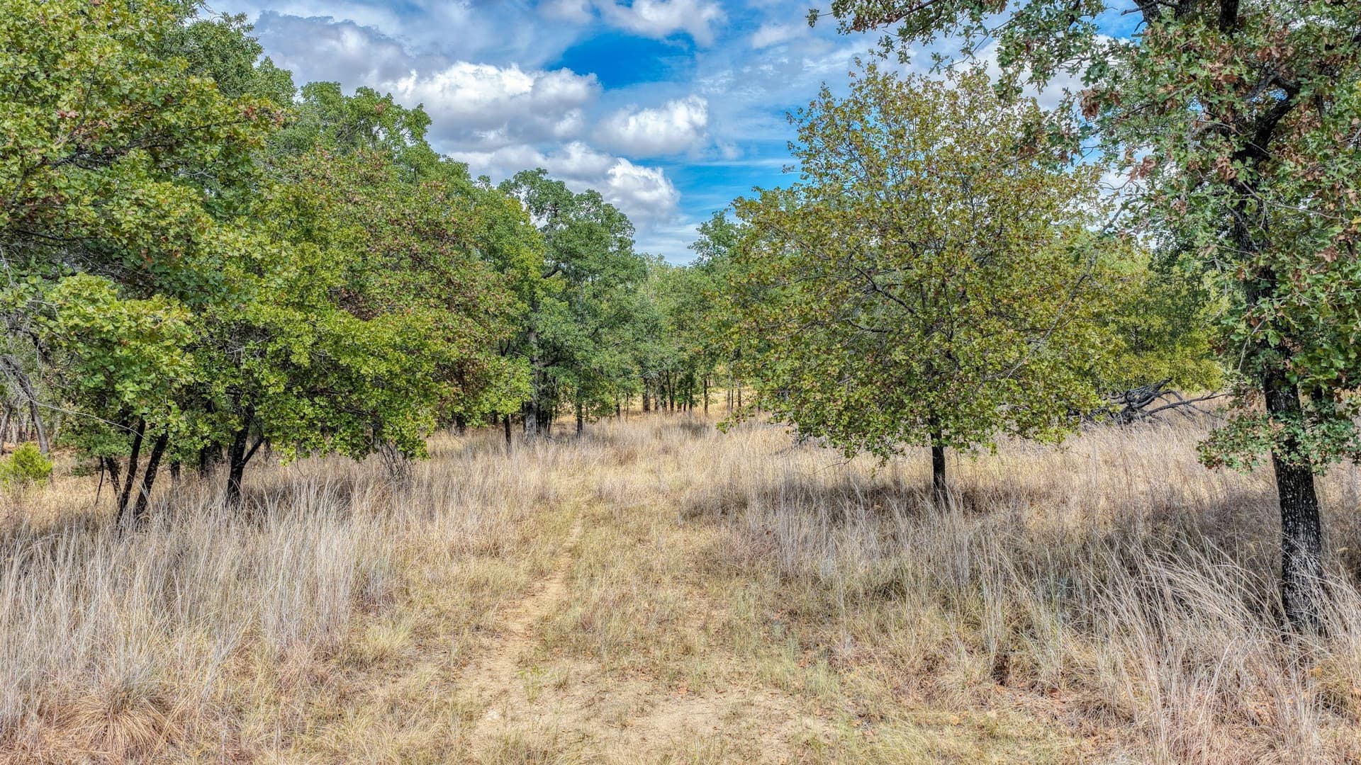 5.01 acres in Parker County - photo 19