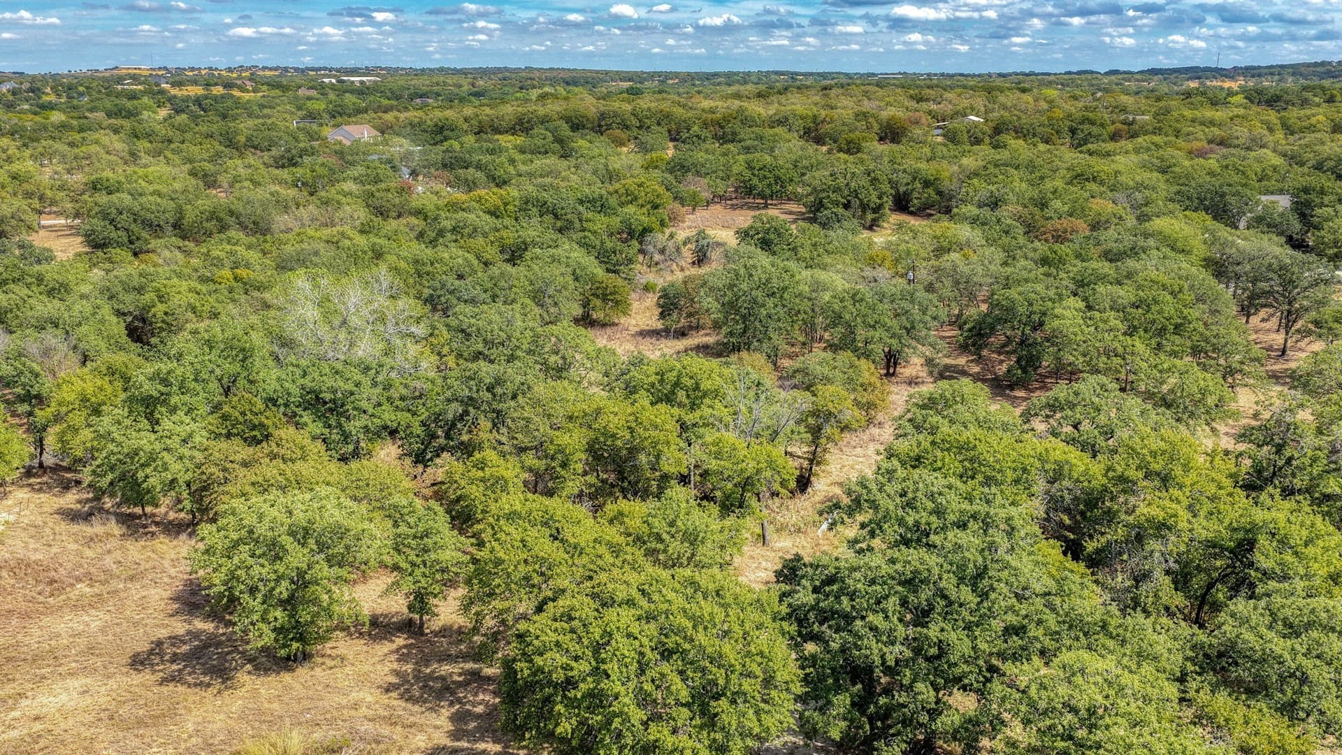 5.01 acres in Parker County - photo 4
