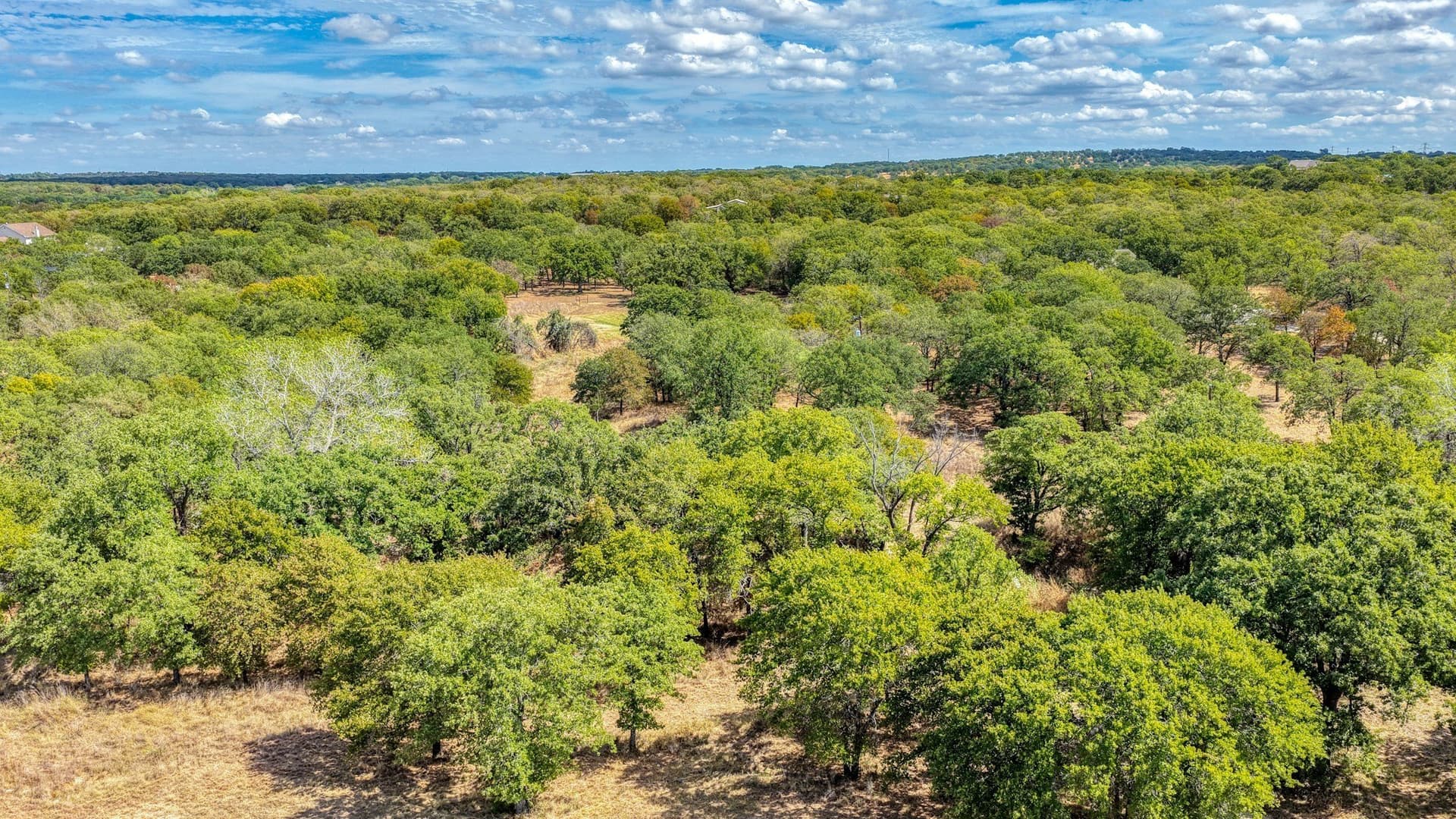 5.01 acres in Parker County - photo 24