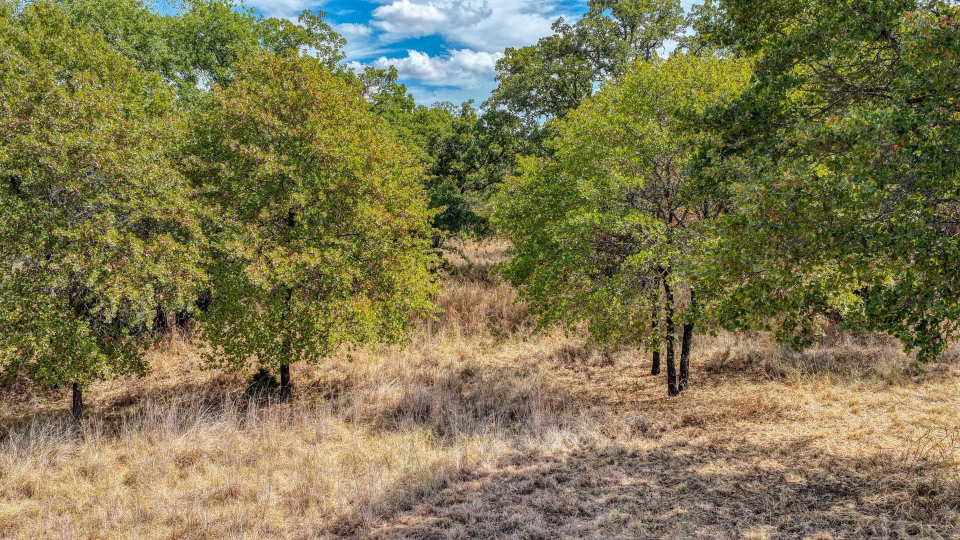 5.01 acres in Parker County - photo 13
