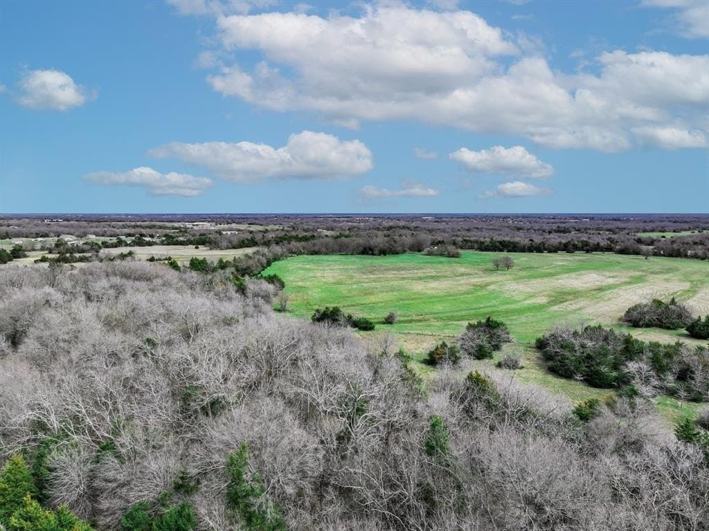 48.5 acres in Hunt County gallery image 4