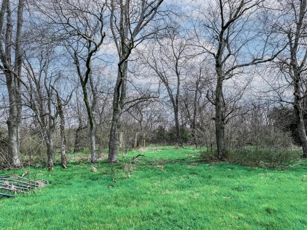 48.5 acres in Hunt County gallery image 2