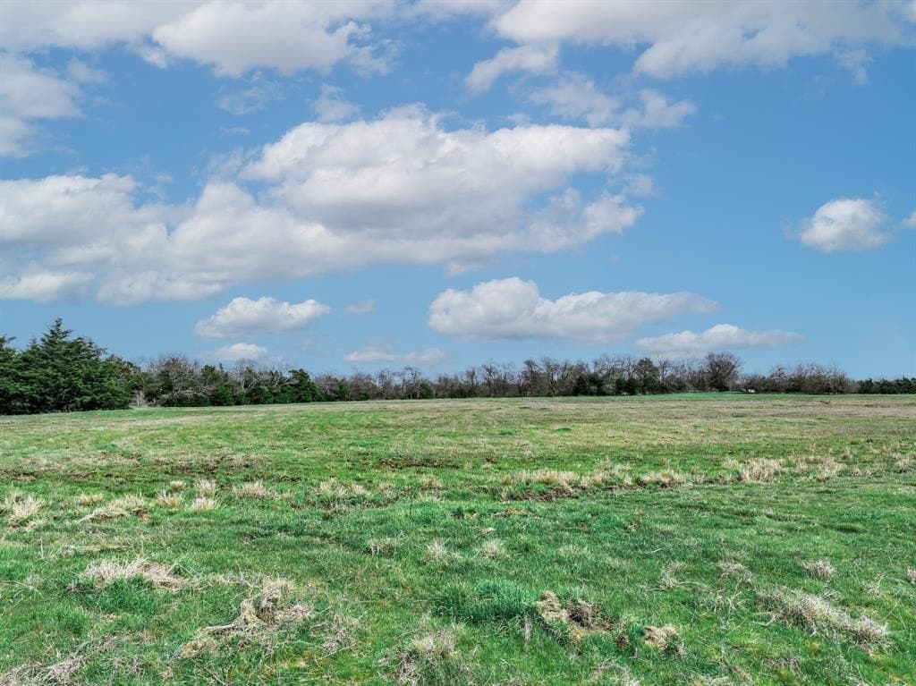 48.5 acres in Hunt County gallery image 3