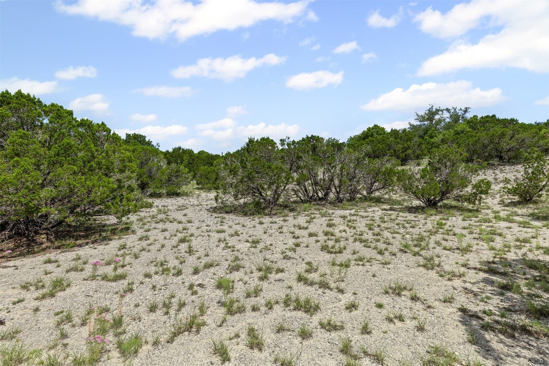 3 acres in Johnson County - photo 4