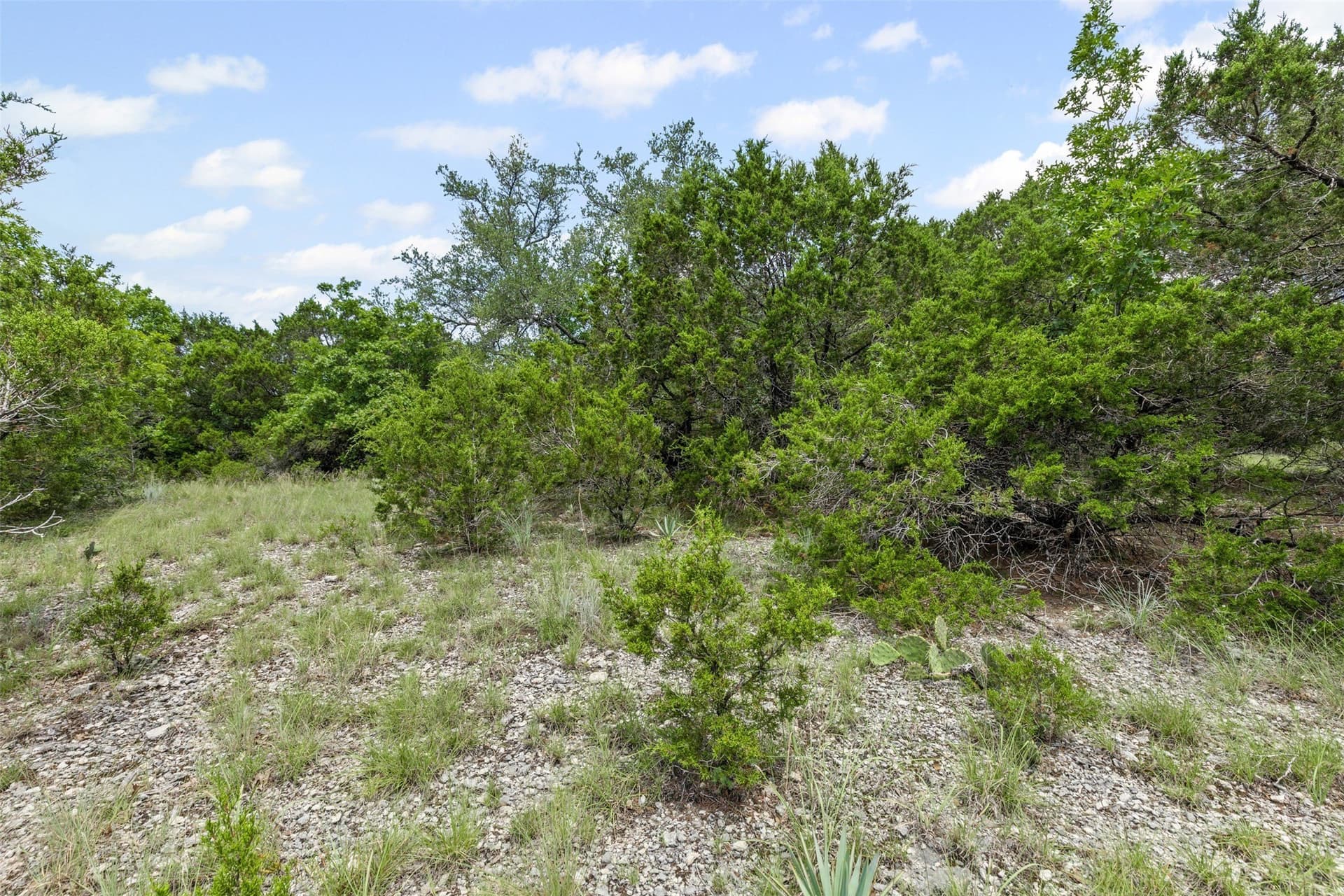 3 acres in Johnson County - photo 7