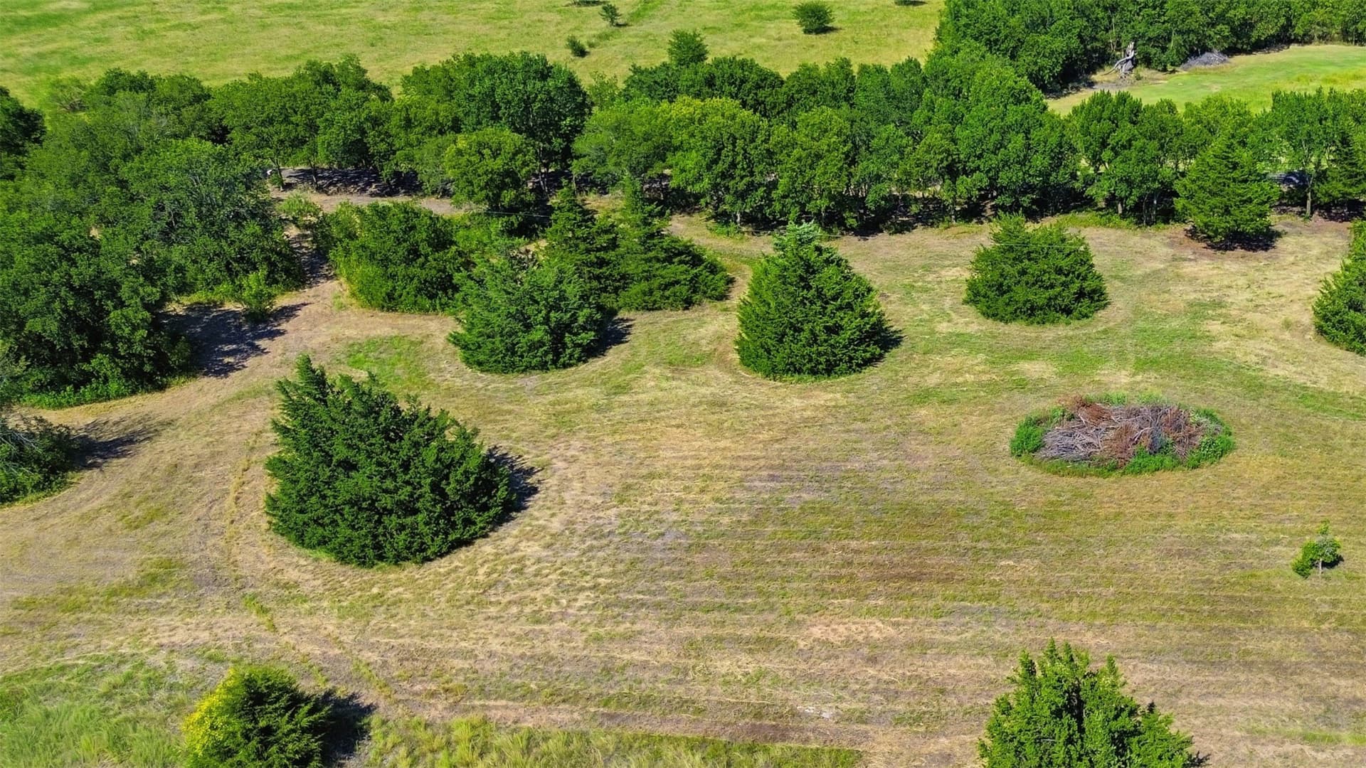 1 acres in Ellis County gallery image 2