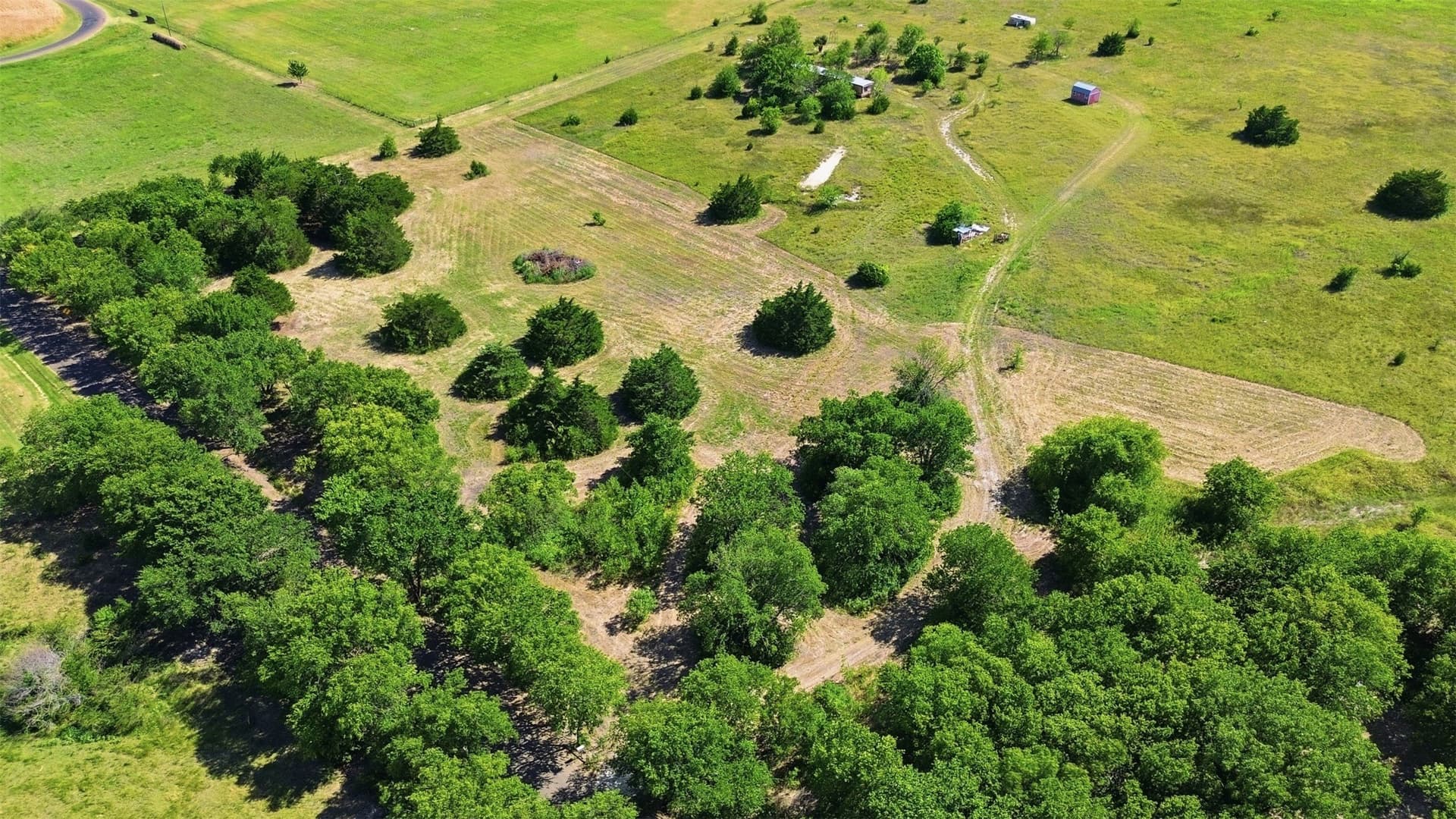 1 acres in Ellis County gallery image 4