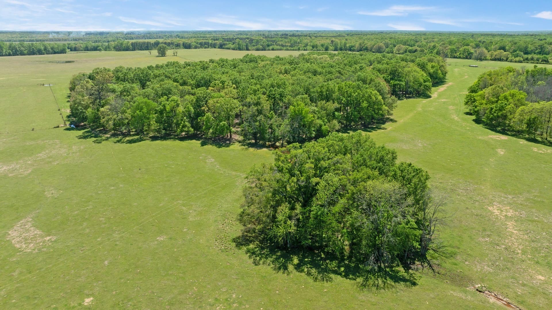 235 acres in Red River (TX) County - photo 15