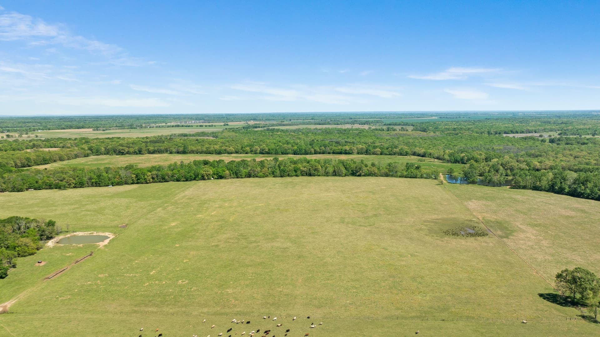 235 acres in Red River (TX) County - photo 2