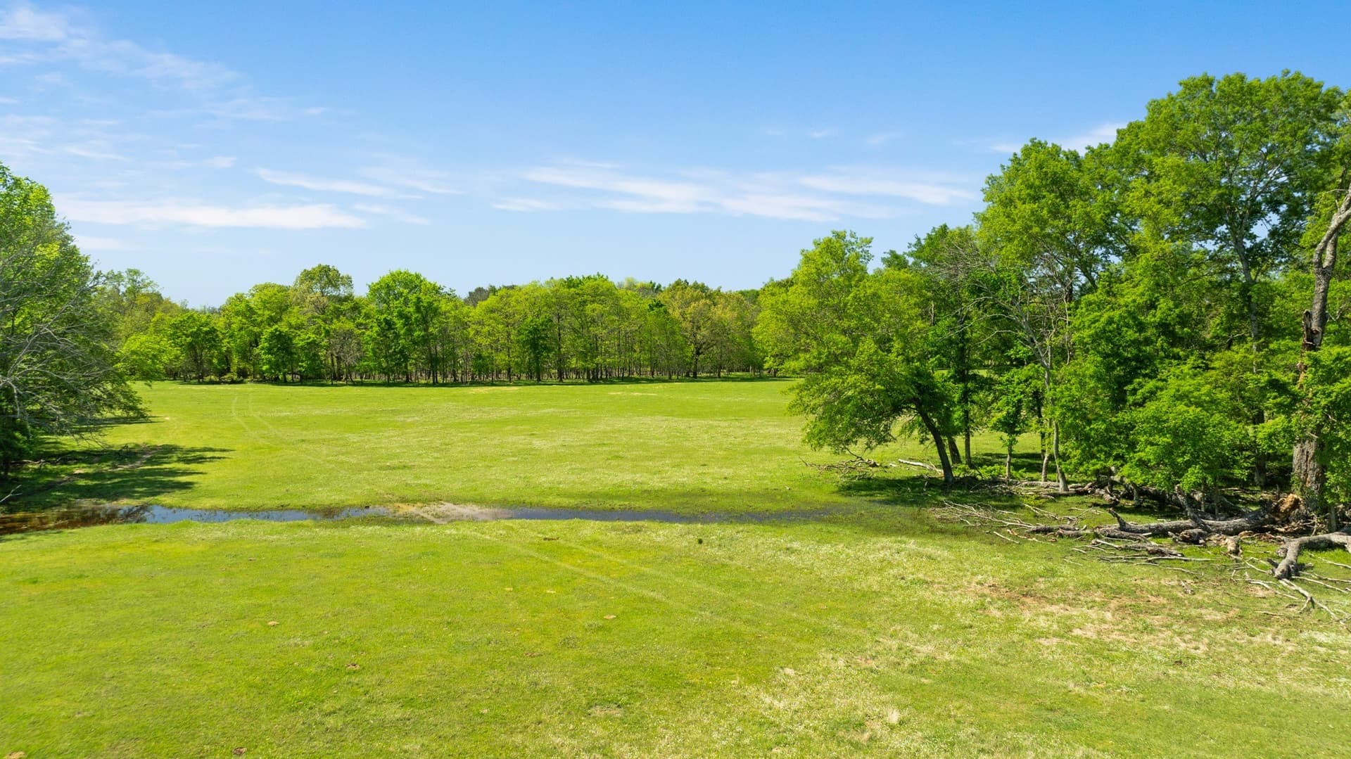 235 acres in Red River (TX) County - photo 16