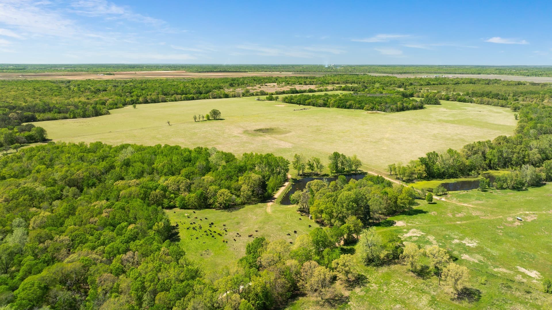 235 acres in Red River (TX) County - photo 9