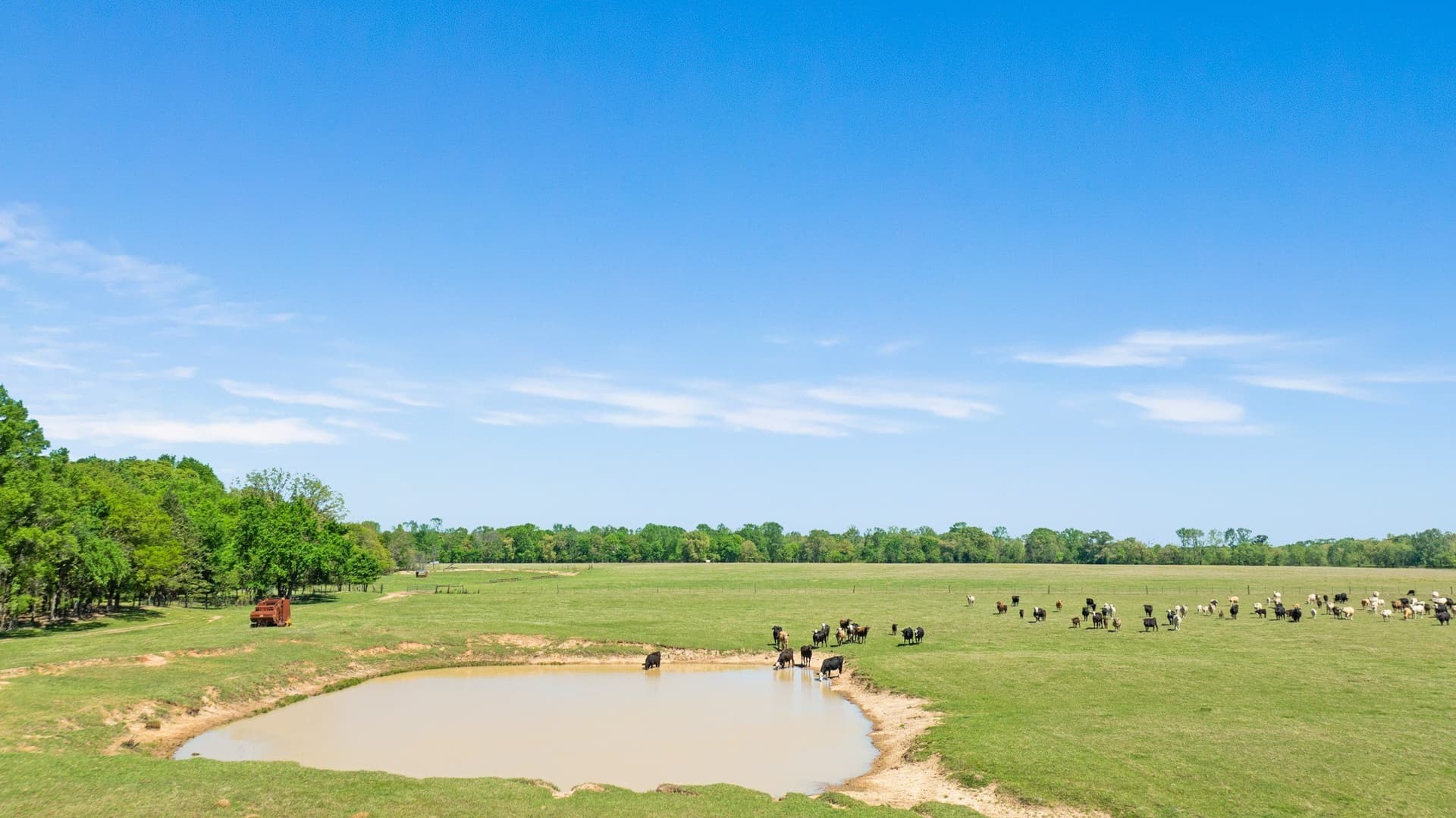 235 acres in Red River (TX) County - photo 3