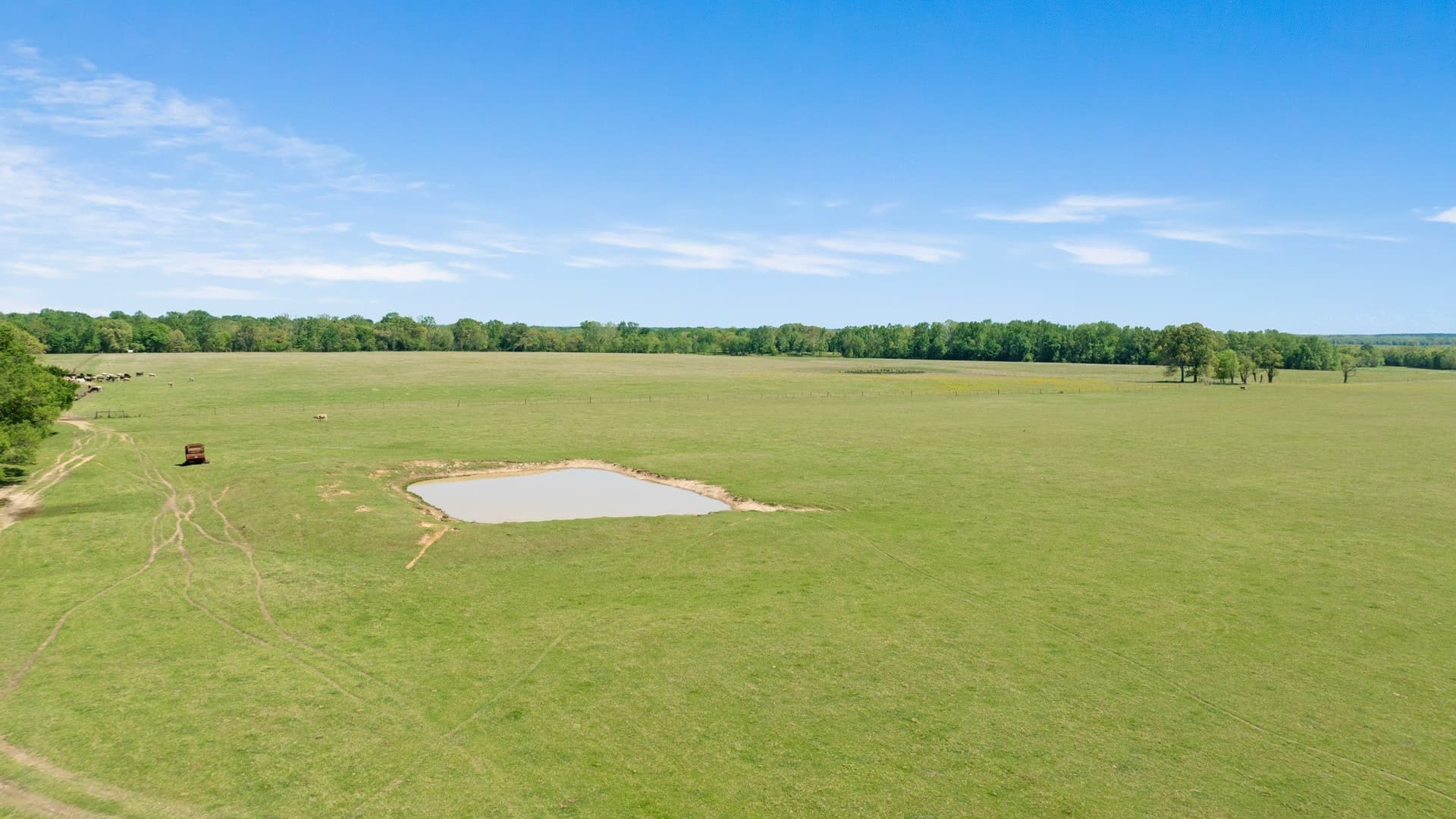 235 acres in Red River (TX) County - photo 25