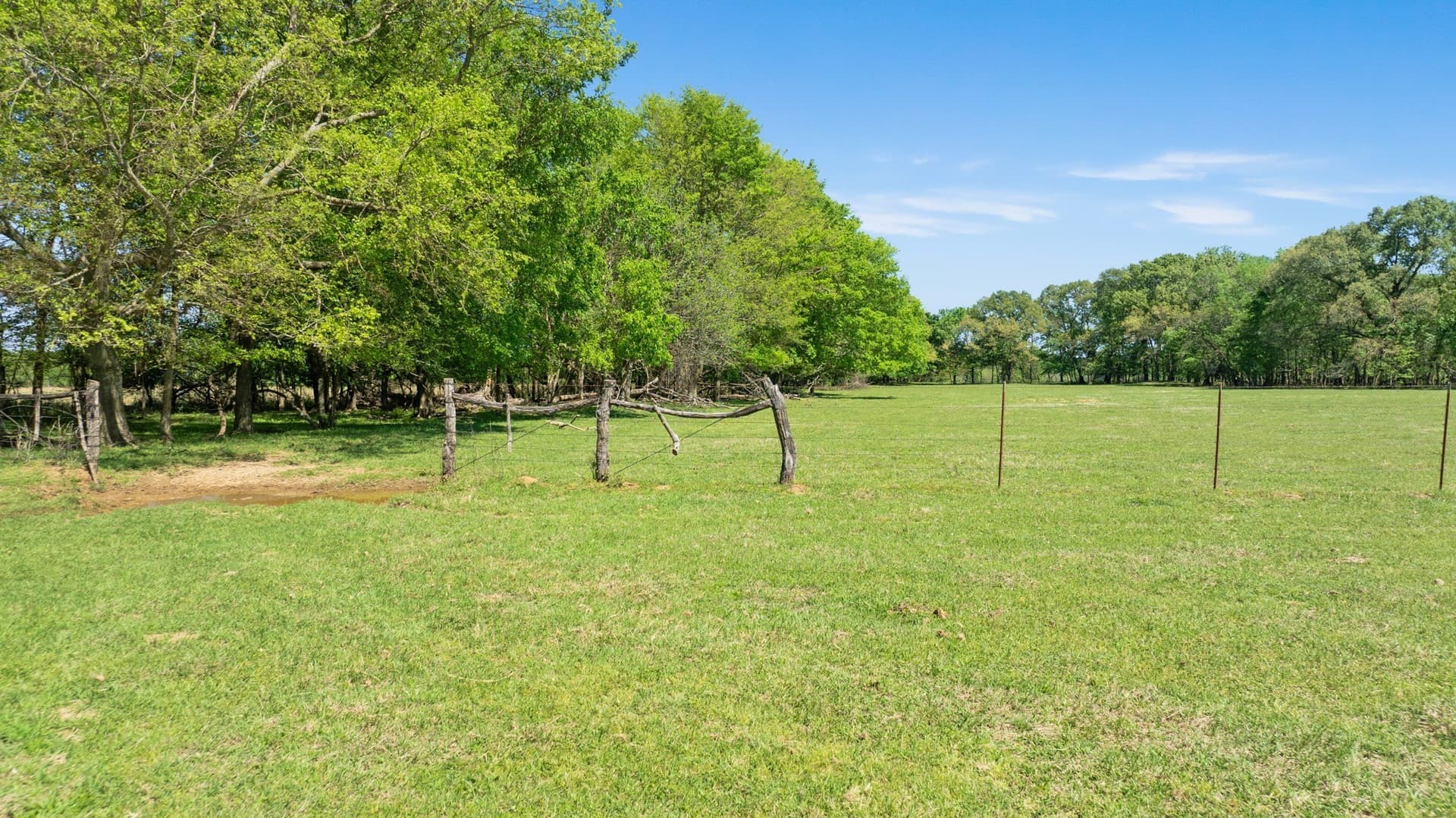 235 acres in Red River (TX) County - photo 20