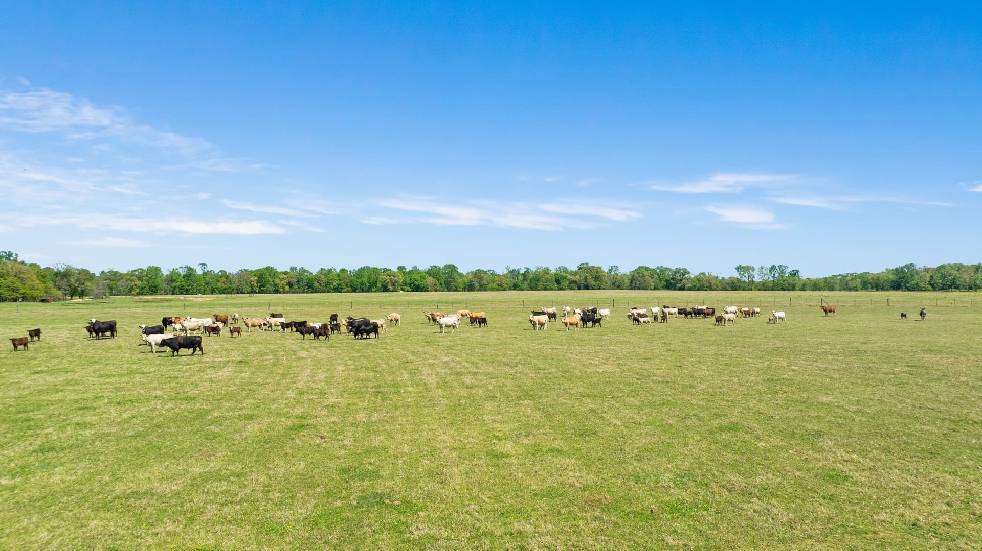 235 acres in Red River (TX) County - photo 4