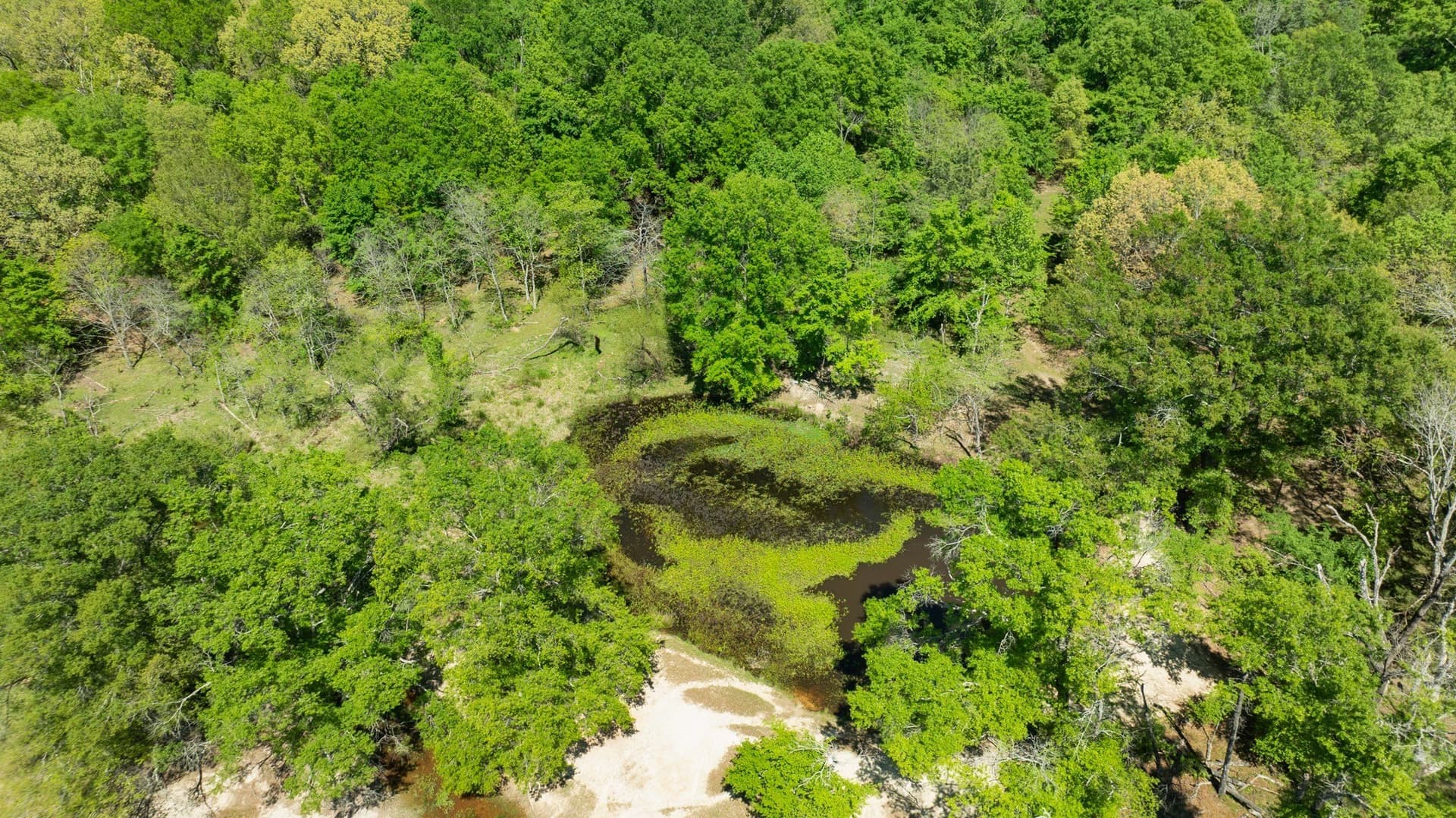 235 acres in Red River (TX) County - photo 13