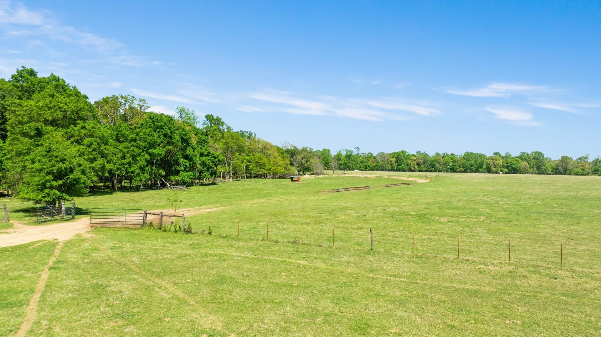 235 acres in Red River (TX) County - photo 6