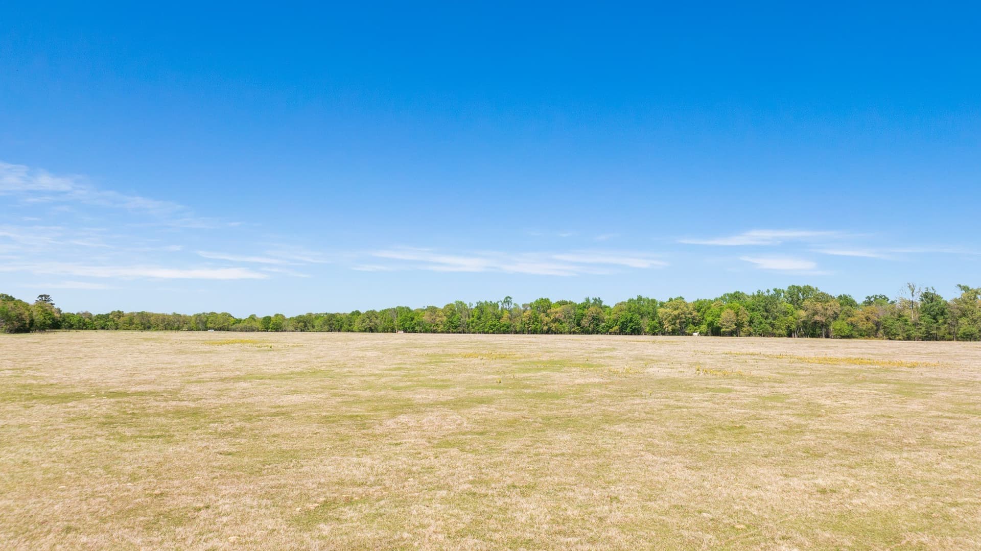 235 acres in Red River (TX) County - photo 11