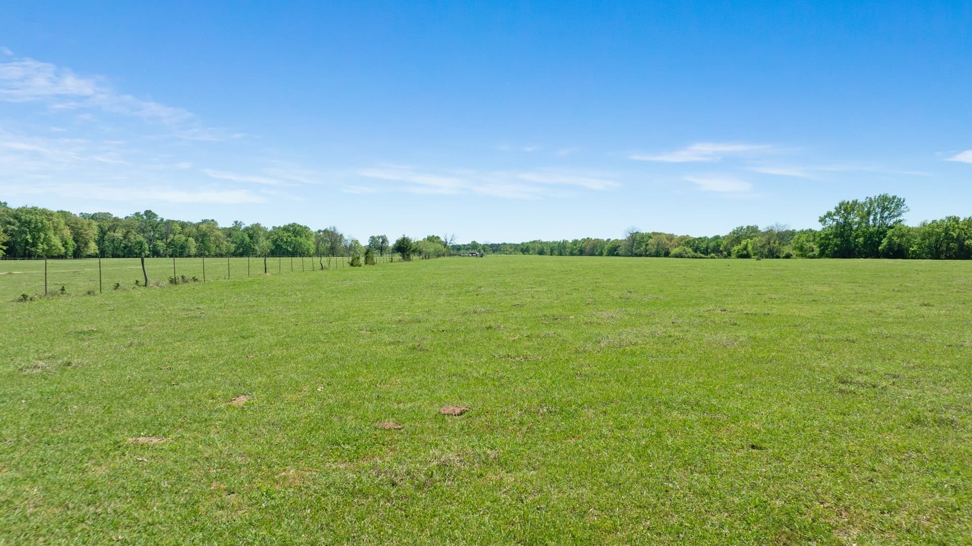 235 acres in Red River (TX) County - photo 21