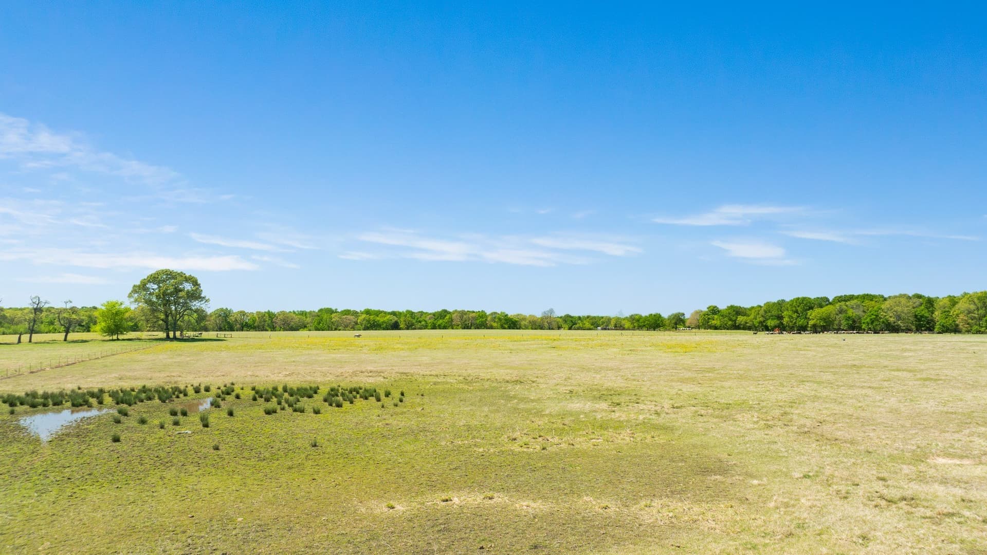 235 acres in Red River (TX) County - photo 10
